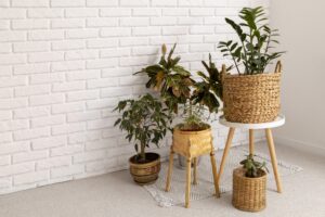 Read more about the article Enhancing Your Home with Indoor Plants & Rattan Decor: A Perfect Blend of Nature and Style